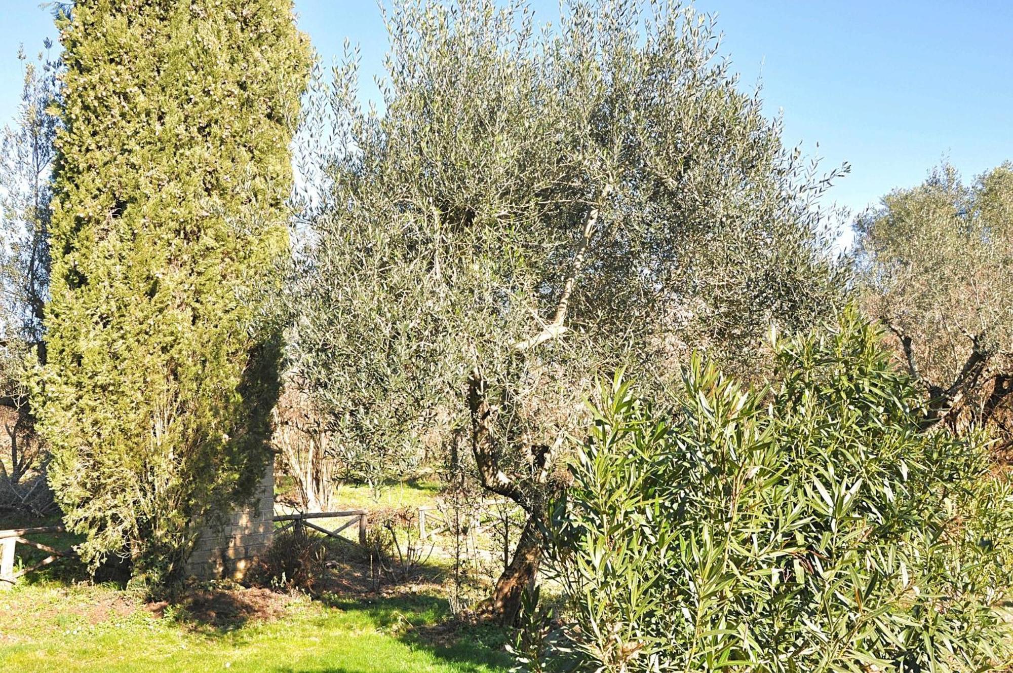 Montecasciano Primula Villa Capranica Luaran gambar